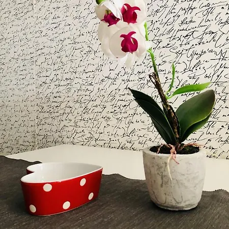 Casamati Appartement